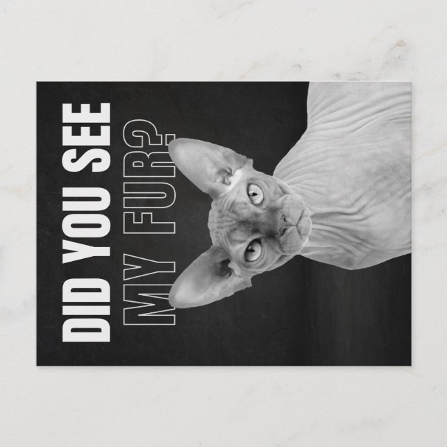 Sphynx Cat Sarcastic Fur Humor Illustration Postkarte (Vorderseite)