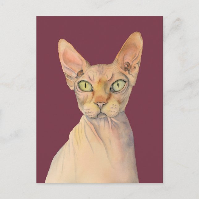 Sphynx Cat Watercolor Portrait Postkarte (Vorderseite)