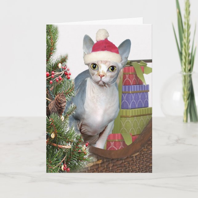 Sphynx Christmas Feiertagskarte (Vorderseite)