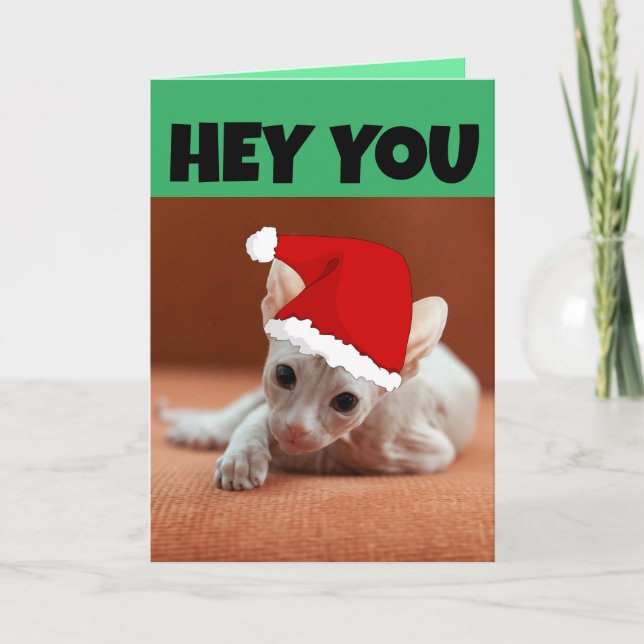 SPHYNX HAIRLESS CAT KITTEN CHRISTMAS CARD KARTE (Vorderseite)