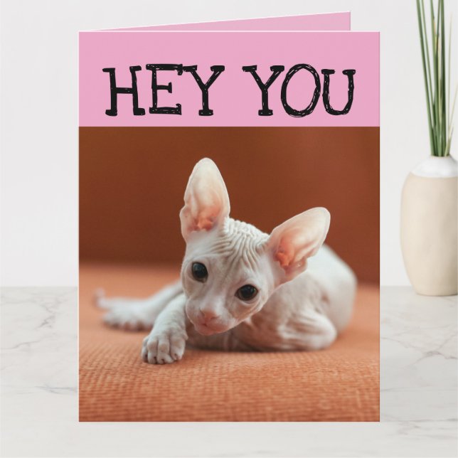 SPHYNX HAIRLESS CAT KITTEN GEBURTSTAGSKARTE KARTE (Vorderseite)