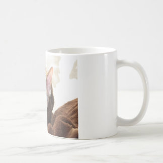 Sphynx Kaffeetasse