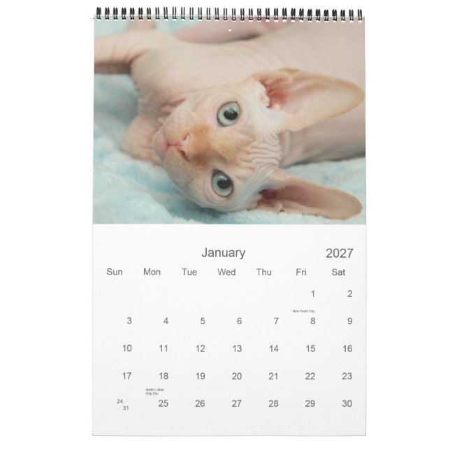 Sphynx Kalender 2012 (Jan 2027)