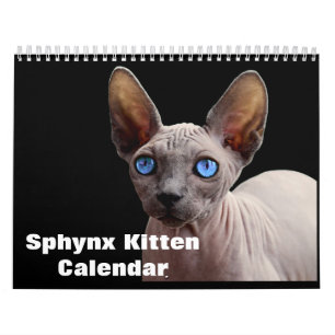 Sphynx-Kätzchen 2027 Kalender