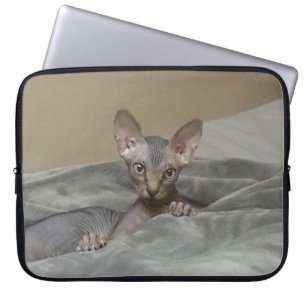 Sphynx Kätzchen Laptopschutzhülle
