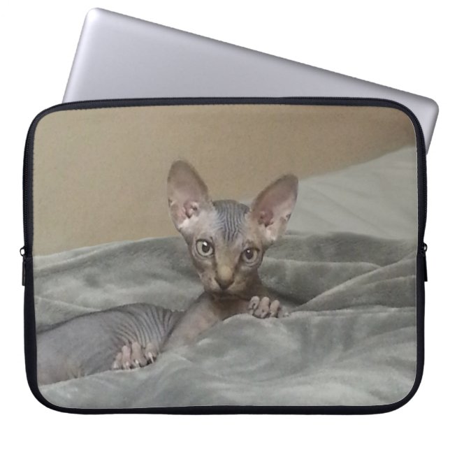 Sphynx Kätzchen Laptopschutzhülle (Vorderseite)