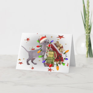 Sphynx Kätzchen-Spiele mit WeihnachtenOrnamants Feiertagskarte