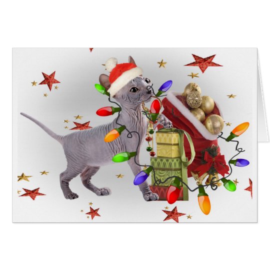 Sphynx Kätzchen-Spiele mit WeihnachtenOrnamants Karte