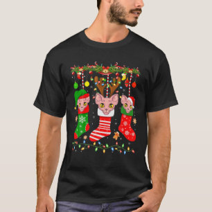Sphynx Katze in Weihnachtssocken Lichter Sphynx Ka T-Shirt