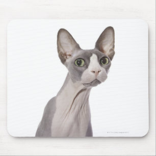 Sphynx Katze mit überraschtem Ausdruck Mousepad