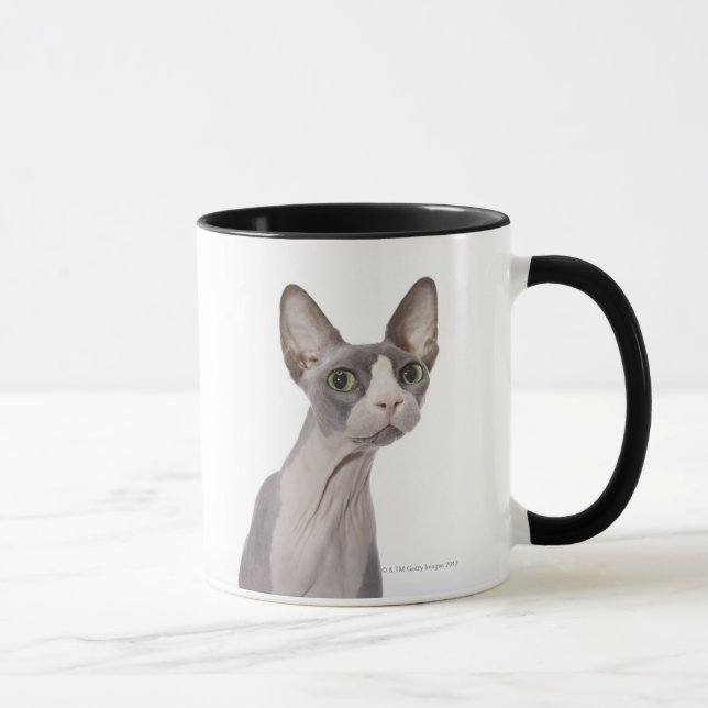 Sphynx Katze mit überraschtem Ausdruck Tasse (Rechts)