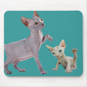 Sphynx Katze Mousepads