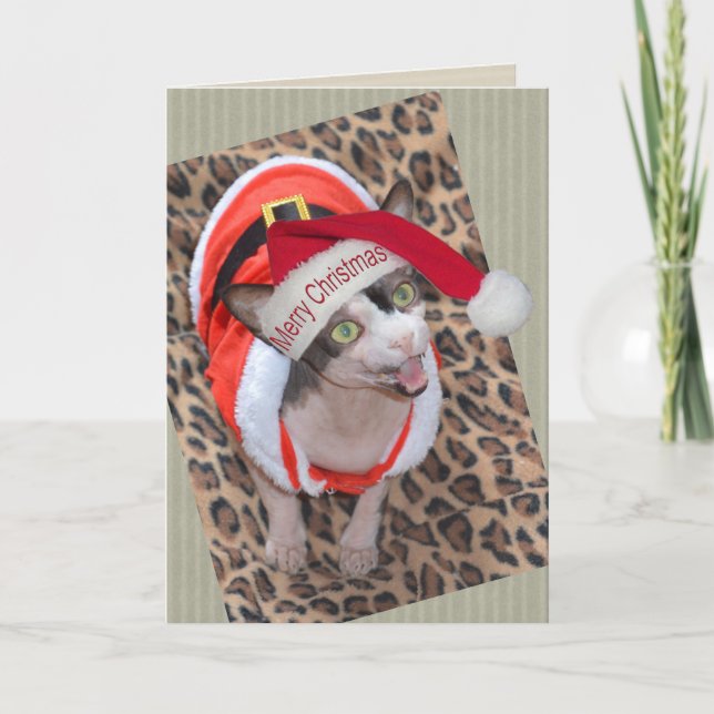 Sphynx Katze Ninja Sankt Weihnachten Karte (Vorderseite)