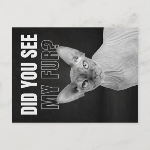 Sphynx-Katze Sarkastische Fell Humor Illustration Postkarte