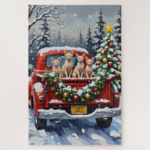 Sphynx-Katze Weihnachten Roter LKW Feiertag