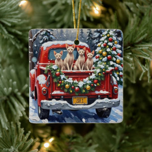 Sphynx-Katze Weihnachten Rotes Lastwagen Ferien Keramikornament