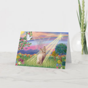 Sphynx-Katze - Wolkenengel Karte