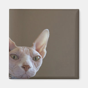 Sphynx Katzen-Magnet Magnet