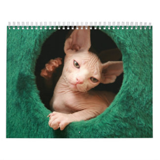 Sphynx Katzen-Wandkalender | GoSphynx.com Kalender