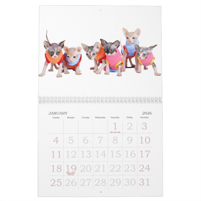 Sphynx Katzen-Wandkalender | GoSphynx.com Kalender (Jan 2026)