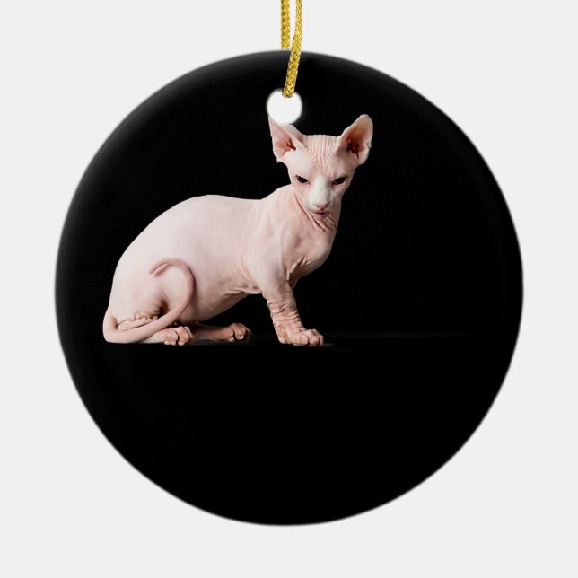 Sphynx Katzenliebling Geschenk für Männer Kinder J Keramik Ornament (Vorne)