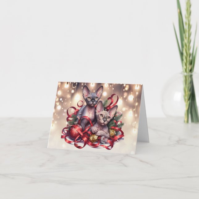 Sphynx Kittens Weihnachtskarte Karte (Vorderseite)