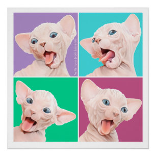 Sphynx Poster
