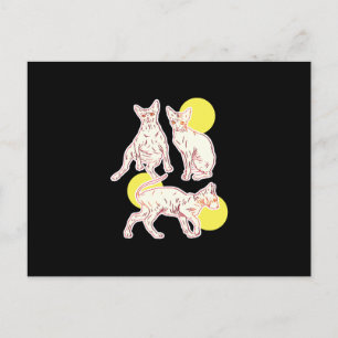 Sphynx Postkarte