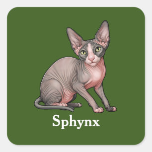 Sphynx Quadratischer Aufkleber
