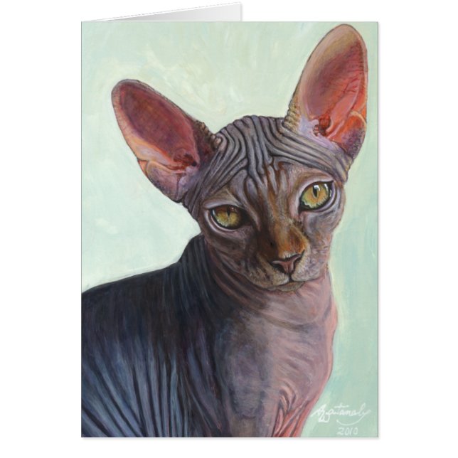 Sphynx Sphinx-Katzen-Katzen Sunitha (Vorne)
