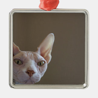 Sphynx unbehaarte Katzen-Minirahmen-Verzierung Ornament Aus Metall
