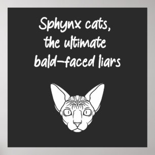Sphynxkatzen, die ultimativen, baldgesichtslosen L Poster