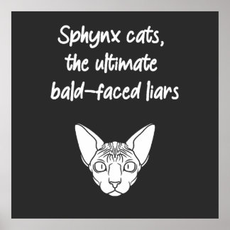 Sphynxkatzen, die ultimativen, baldgesichtslosen L Poster
