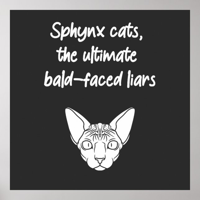 Sphynxkatzen, die ultimativen, baldgesichtslosen L Poster (Vorne)
