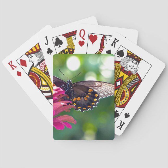 Spicebush-Frack Spielkarten (Rückseite)