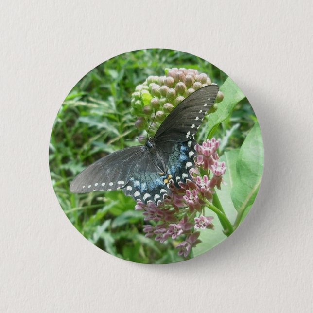 Spicebush Frau-Knopf Button (Vorderseite)