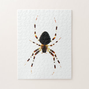Spider 11x14 252pc jpcnm