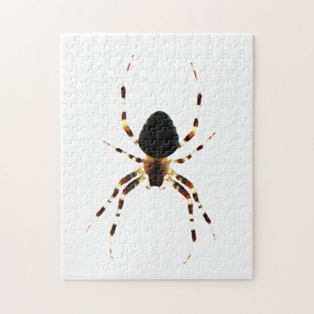 Spider 11x14 252pc jpcnm (Vertikal)