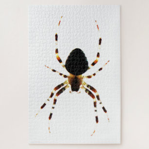Spider 20x30 1014pc jpcna