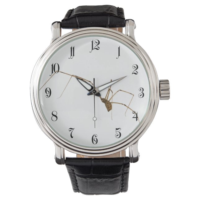 Spider Armbanduhr (Vorderseite)