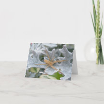 Spider auf Dusty Miller Note Card