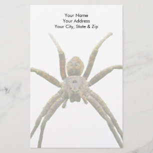 Spider Briefpapier