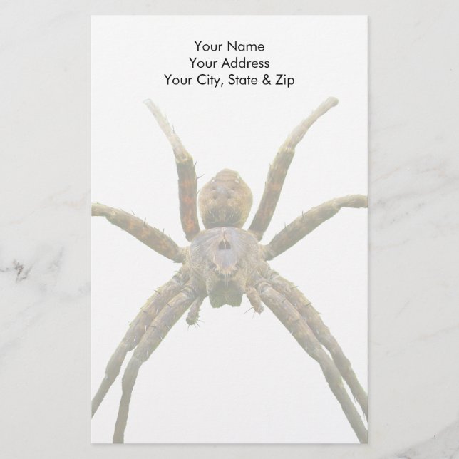Spider Briefpapier (Vorderseite)