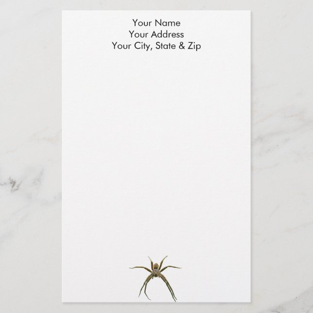 Spider Briefpapier (Vorderseite)
