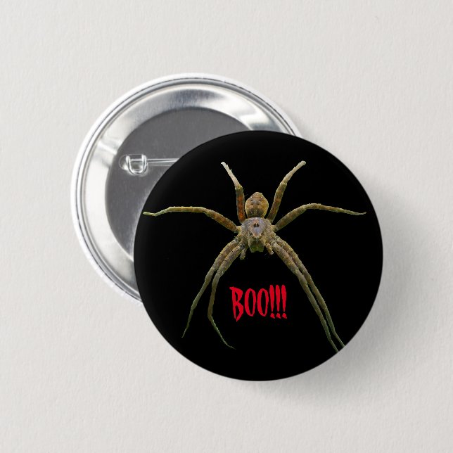 Spider Button (Vorne & Hinten)