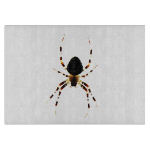 Spider cbcn schneidebrett
