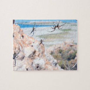 Spider City - Abhängen