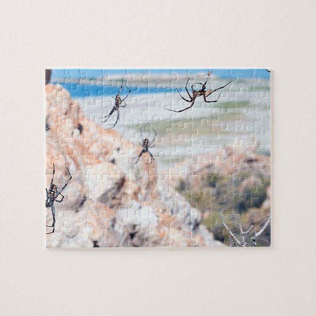 Spider City - Abhängen (Horizontal)