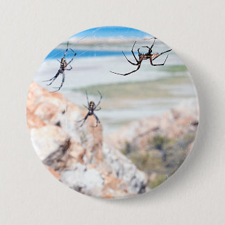 Spider City - Hangin Around Button