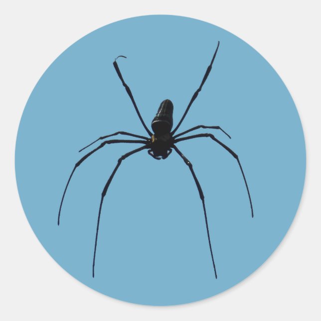 Spider Classic Round Sticker, glänzend Runder Aufkleber (Vorderseite)
